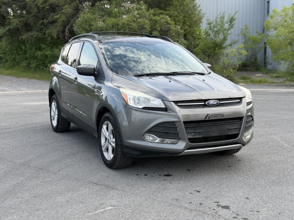 2014 Ford Escape SE thumbnail 3