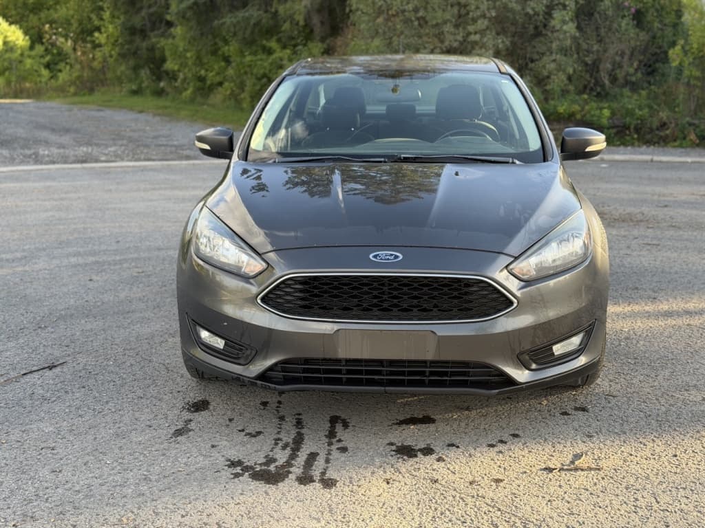 2016 Ford Focus SE thumbnail 2