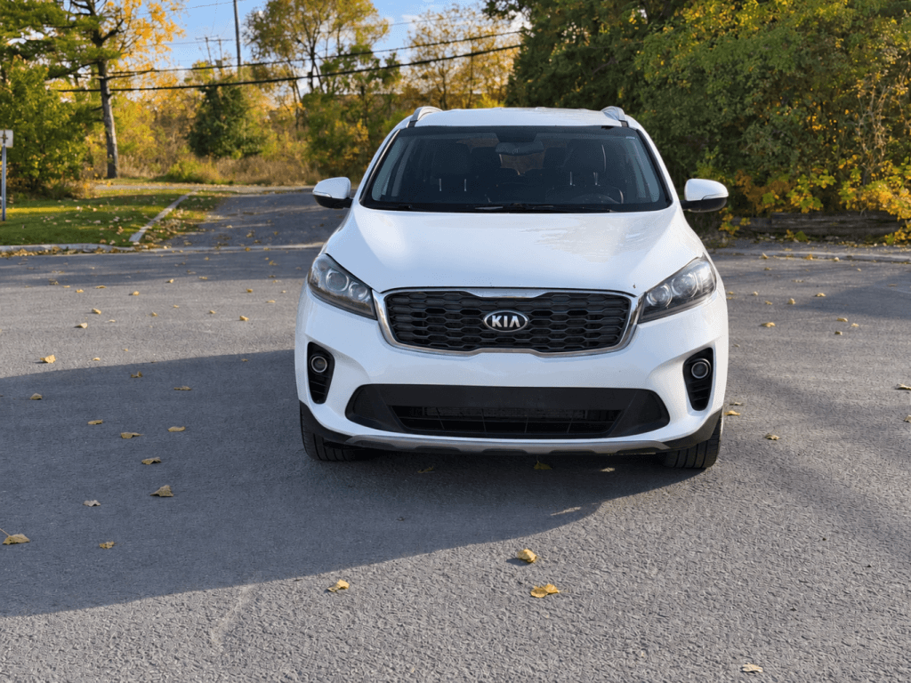 2019 KIA Sorento thumbnail 2