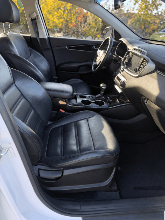 2019 KIA Sorento thumbnail 8